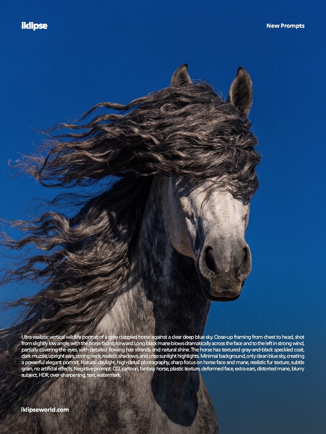 Horse hair editorial portrait prompt slide